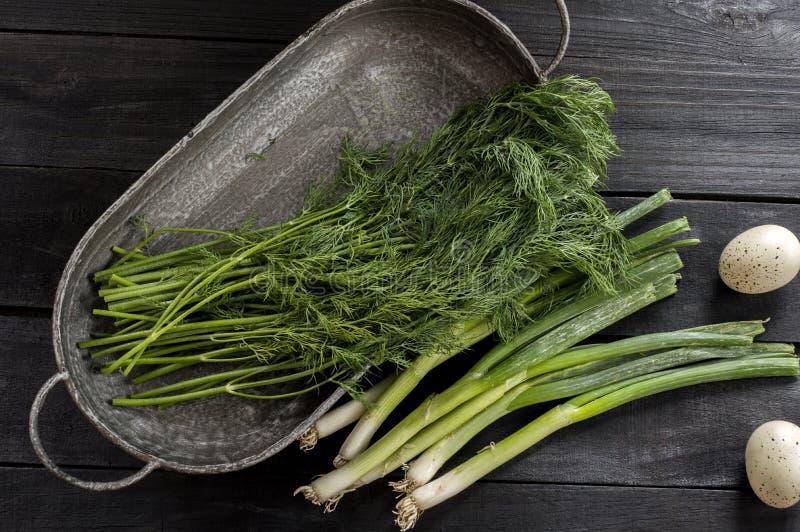Fresh picked herbs from the garden stock images Fresh picked herbs from the garden stock images
