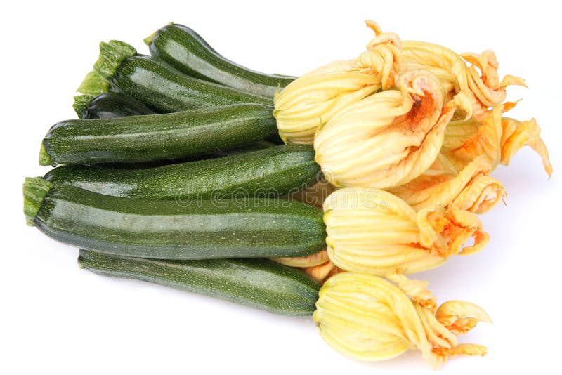 Fresh Picked Zucchini with Flower Heads Stock Image Image of flowers