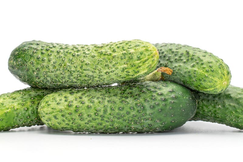 1,979 Pickling Cucumber White Stock Photos Free & RoyaltyFree Stock Photos from Dreamstime