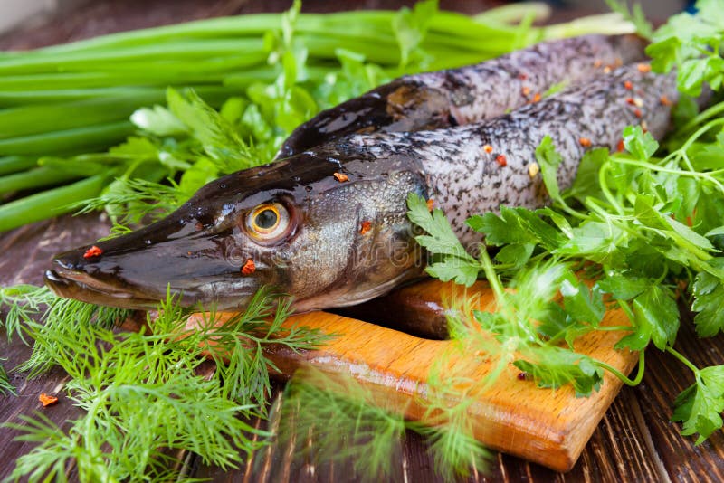 Fresh pike on a cutting board and fresh herbs, fish