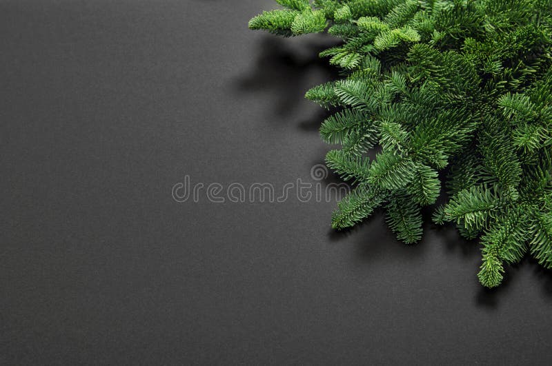 Fresh Christmas Tree Branch Over Wooden Background Stock Photo Image
