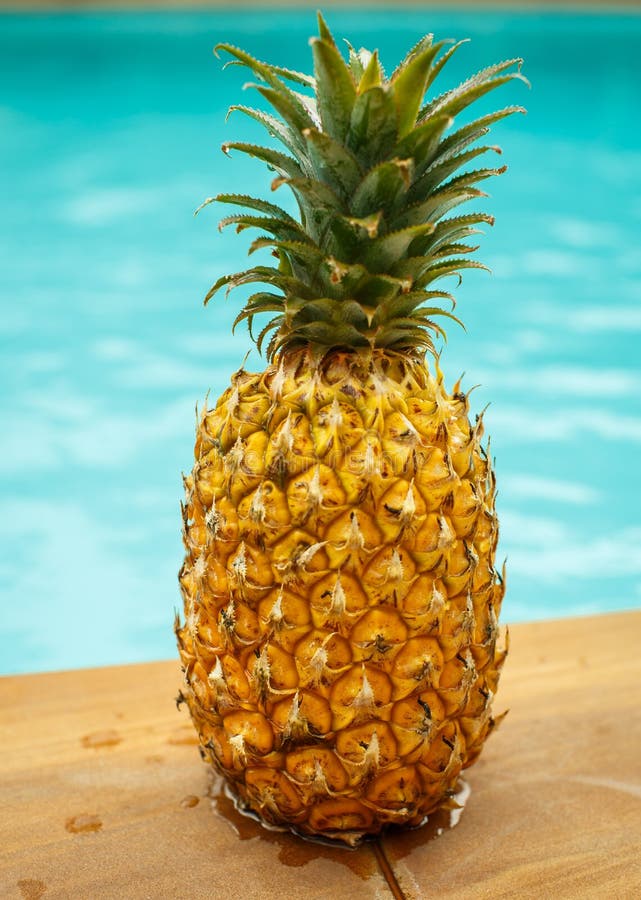 Fresh Pineapple Near the Pool Stock Photo Image of fruity, fresh