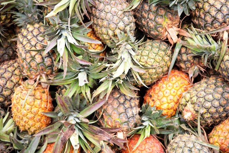 Fresh pineapples at an outdoor market