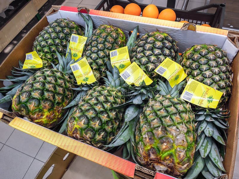 Fresh Pineapples and Other Fruits Ready for Sale Editorial Image