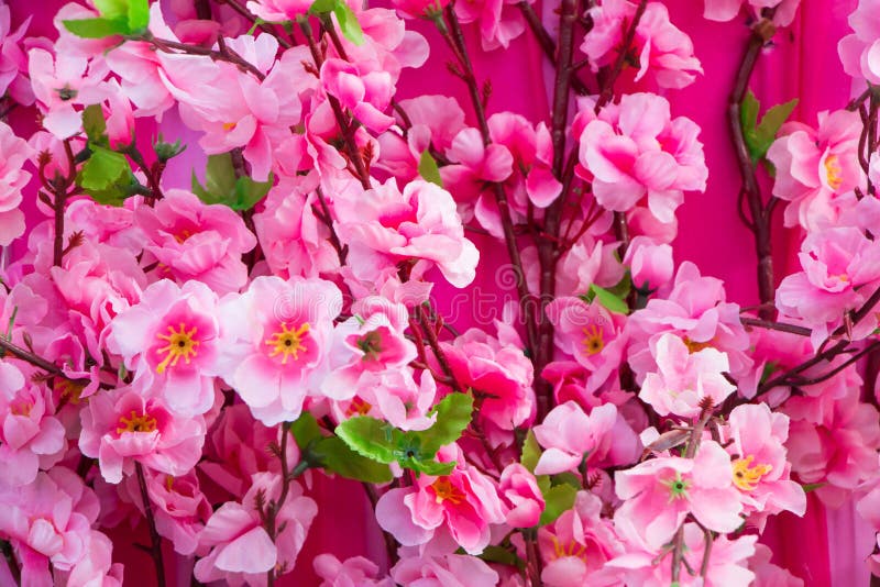 Fresh pink roses frame stock image. Image of floral, beautiful