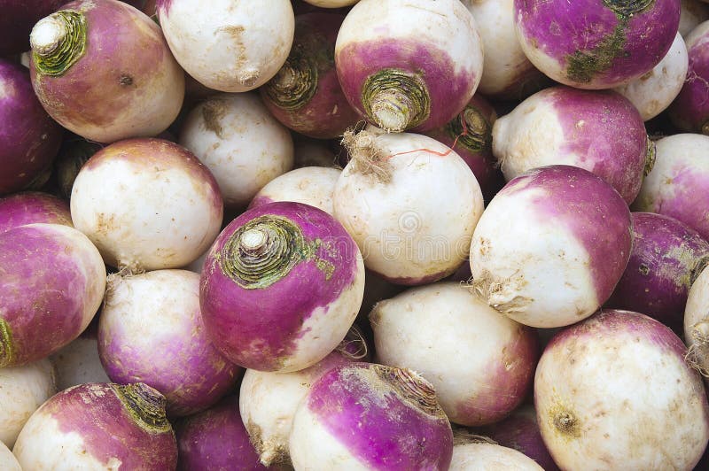 Fresh pink and white turnips