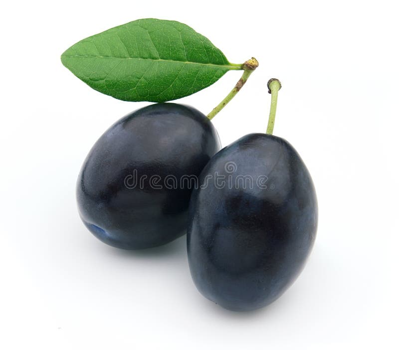 Fresh plum