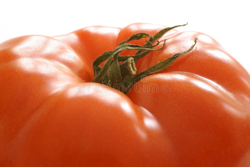 Fresh and Plump Beefsteak Tomato Stock Photo Image of macro, meal
