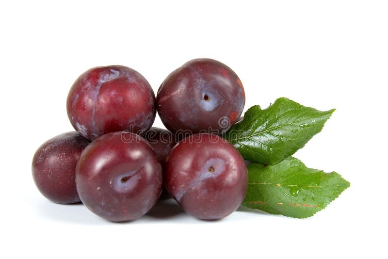 Fresh plums stock photo. Image of fresh, group, natural 20710248