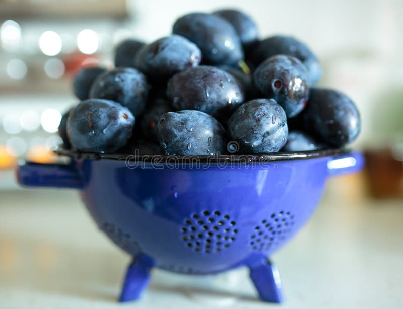 Fresh plums in the kitchen stock image. Image of kitchen 85249343