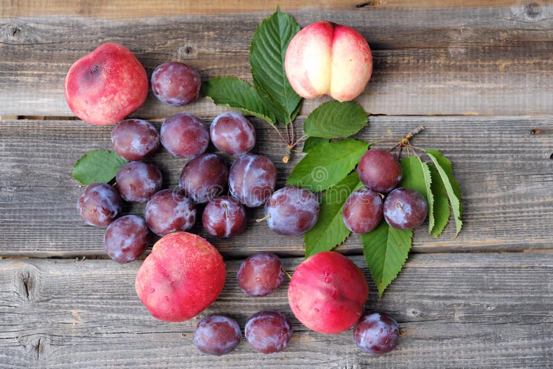 Fresh Plums And Peaches On Wooden Background Stock Photo Image of
