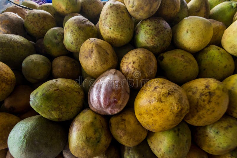 Fresh Pomelo Melon for Sale Stock Photo Image of mango, fruit 224726194