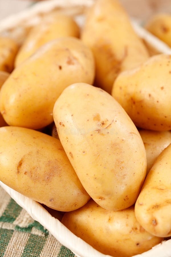 Fresh Potatoes Stock Image Image Of Fingerling Earthy 26104405