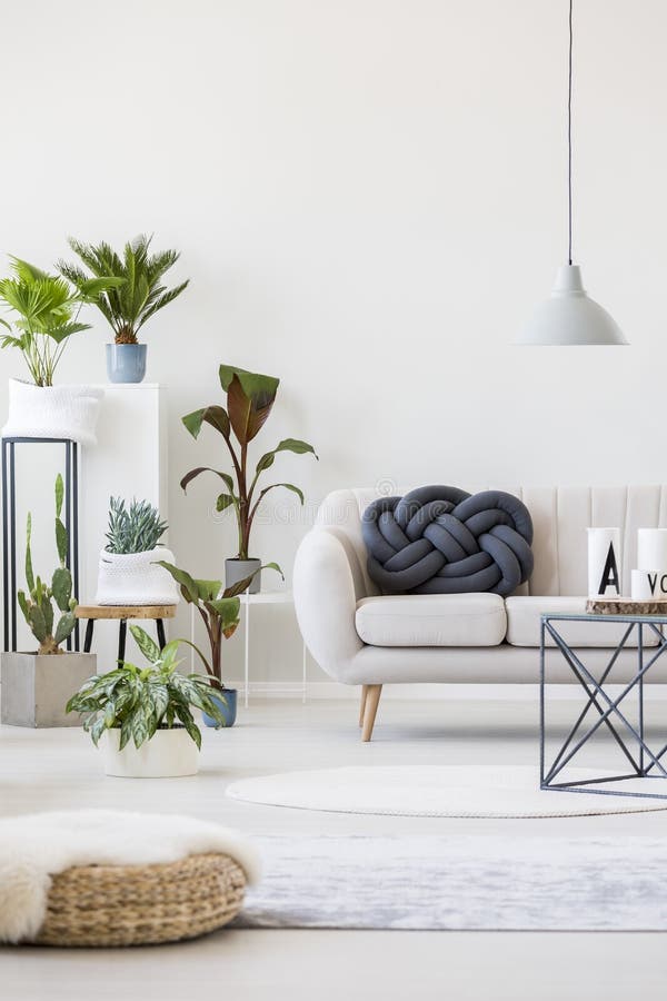 Plants in living room stock image. Image of sofa, cushion - 111717145