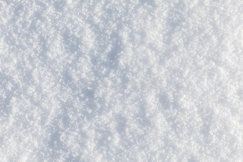 Fresh Powder Snow Stock Photo Image Of Pattern Outdoor