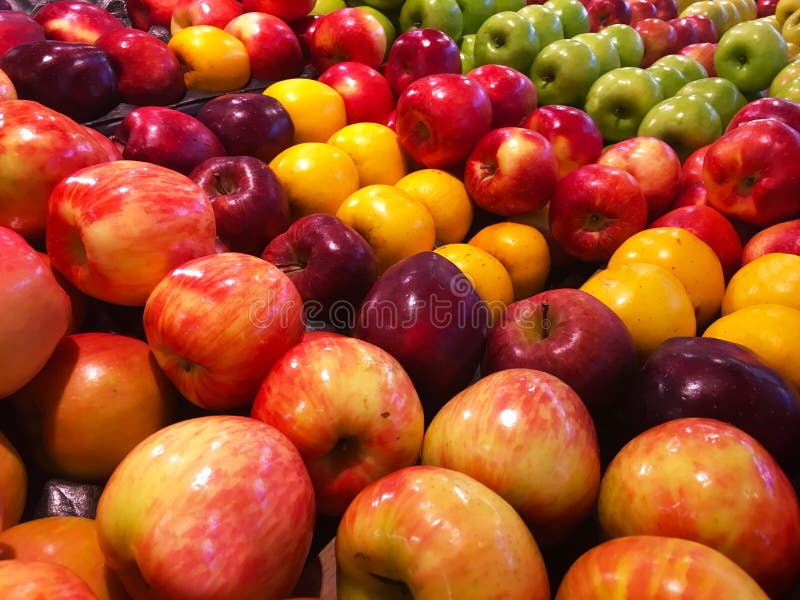 Fresh Produce Rows of Colorful Apples on Display Stock Photo Image of