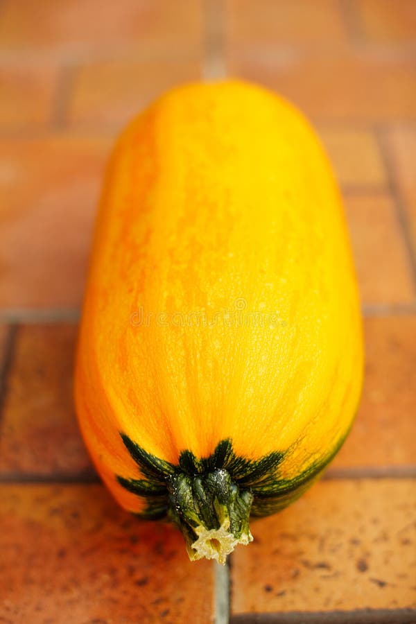 Fresh pumpkin