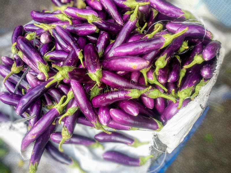 Fresh purple eggplant on street market foto de stock