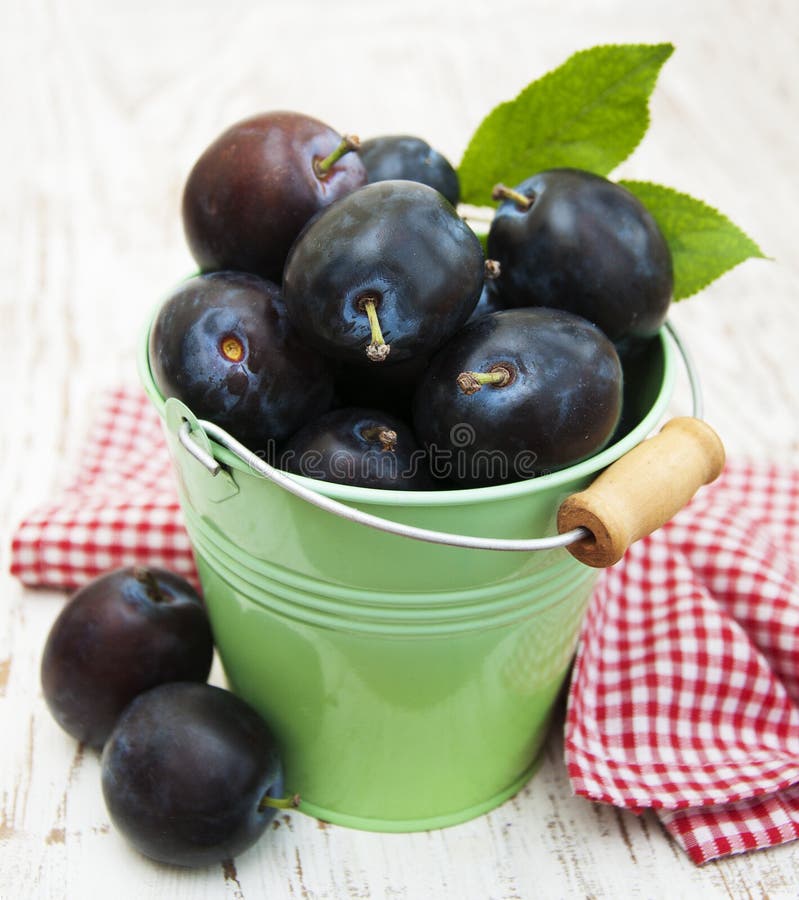 Fresh purple plums stock photo. Image of juicy, autumn 43903518