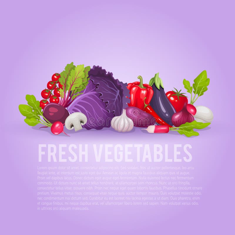 Fresh purple and red vegetables. Healthy and organic vector illustration