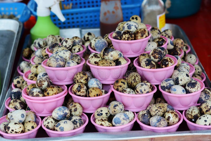 Fresh quail egg stock photo. Image of focus, ingredient 33157076