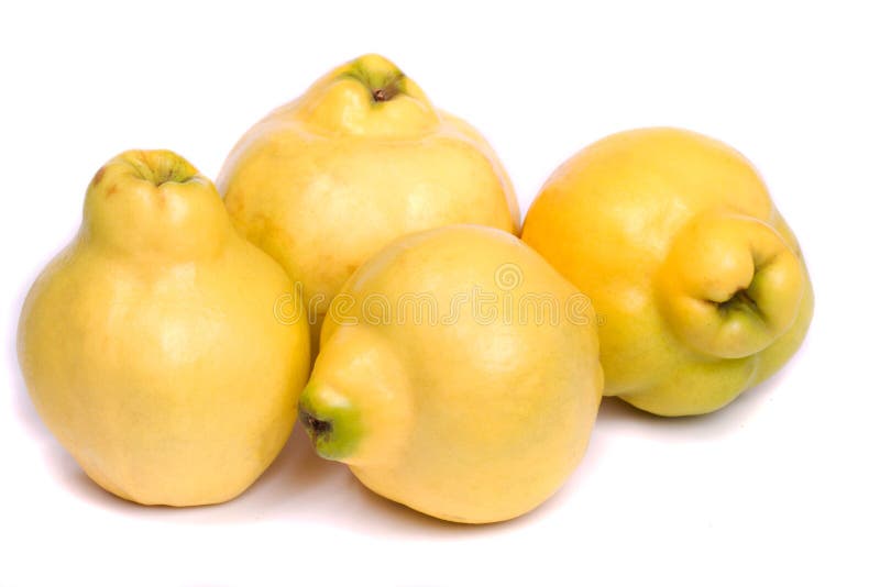 Fresh quince fruit