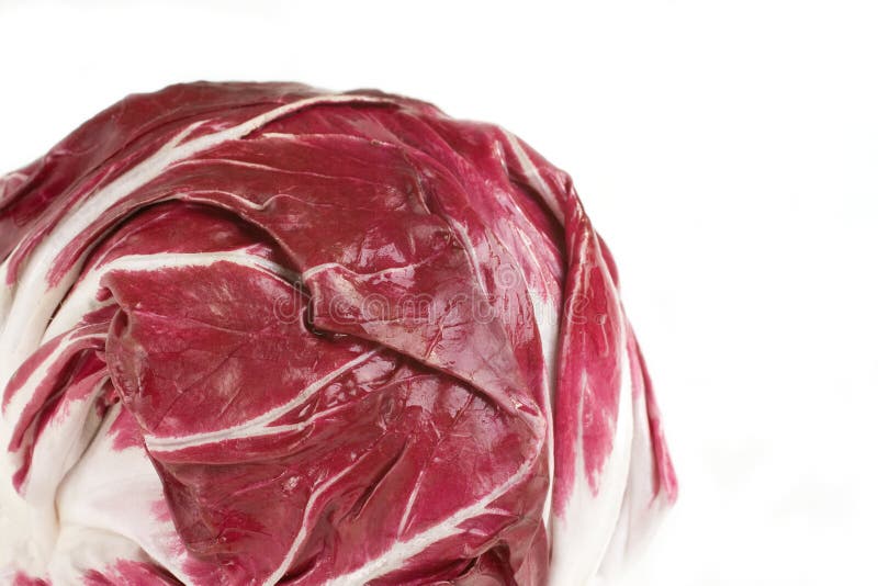 Fresh Radicchio Head