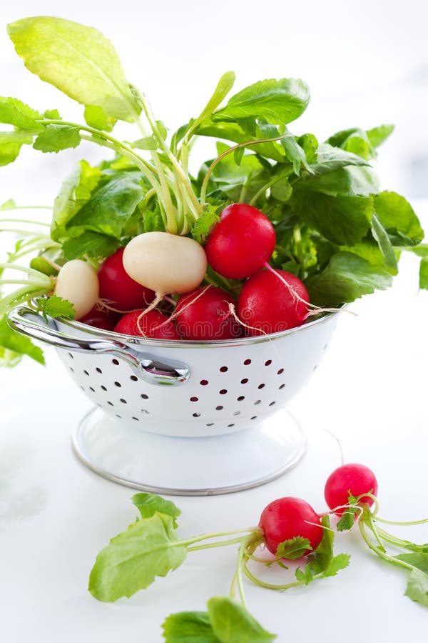 Fresh red and white radish. Fresh red and white radish