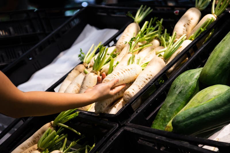 Radish choose in market stock image. Image of fresh 182409639