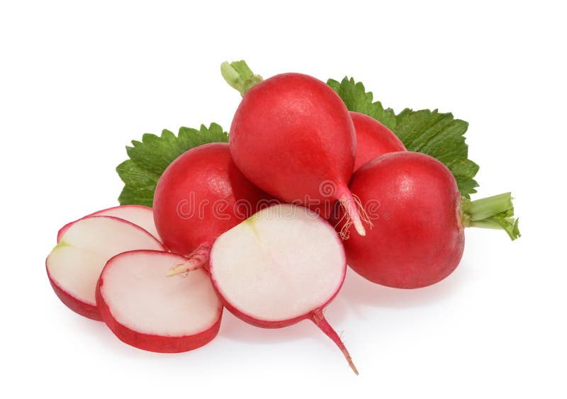 Fresh radishes stock image. Image of leaves, fresh, wooden 28891183