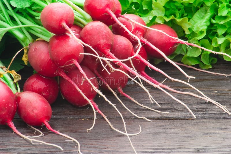 Fresh radishes and lettuce