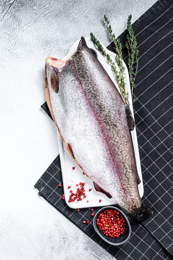 Fresh Rainbow Trout Fish Marinated with Salt and Thyme. Gray Background