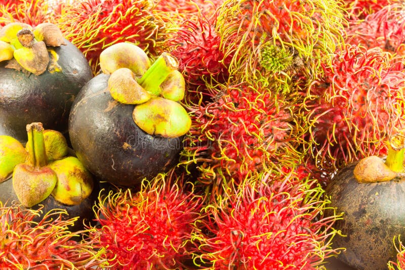 A Fresh Rambutan And Mangosteen Stock Image Image of health