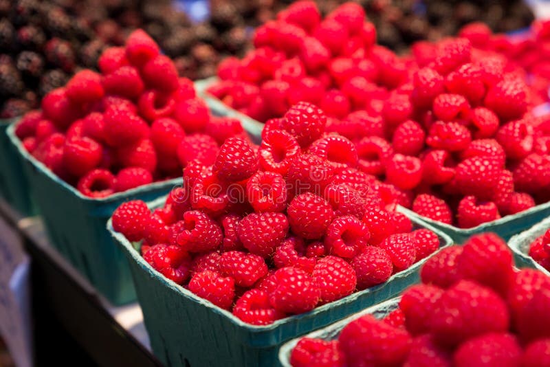 Fresh Raspberries on Display Stock Photo Image of ripe, supermarket