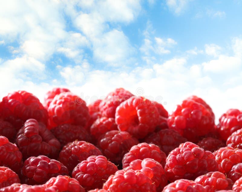 Fresh raspberry against sky