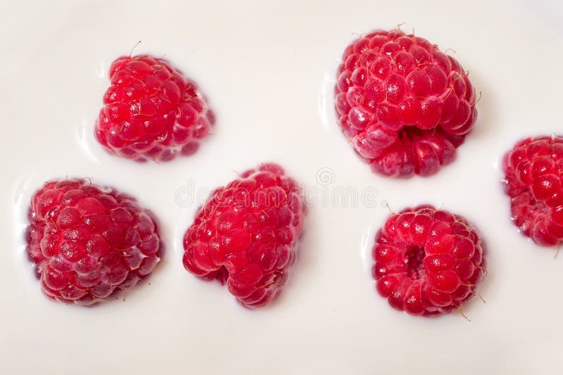 Fresh raspberry in milk stock photo. Image of nature 96783366