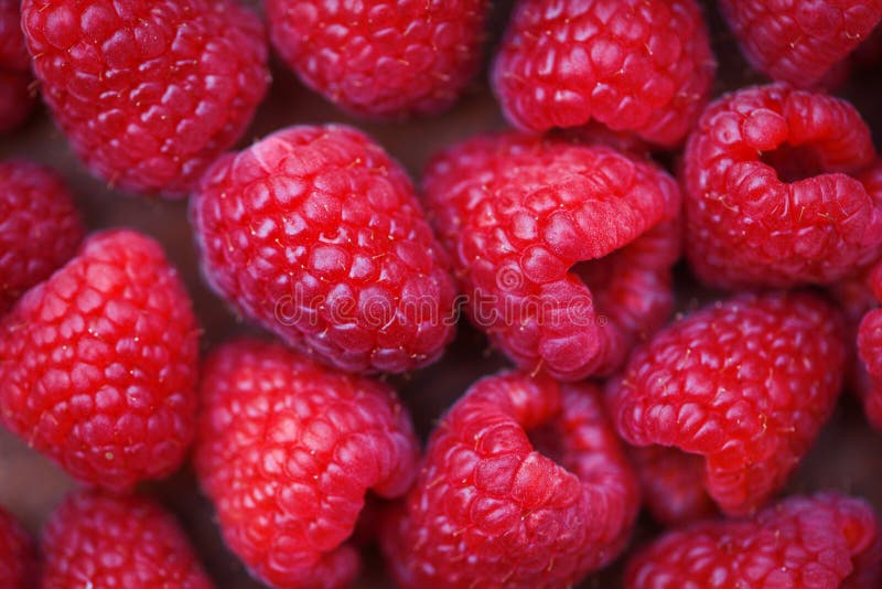 Fresh raspberry texture Close up red raspberries fruit background top view stock photo Fresh raspberry texture Close up red raspberries fruit background top view stock photo