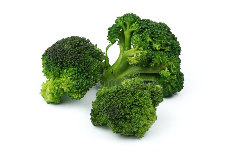 Broccoli stock photo. Image of stalk, healthy, organic 1775094