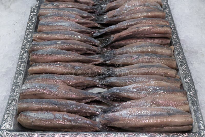 Dutch raw herring stock image. Image of dutch, snack 44593901