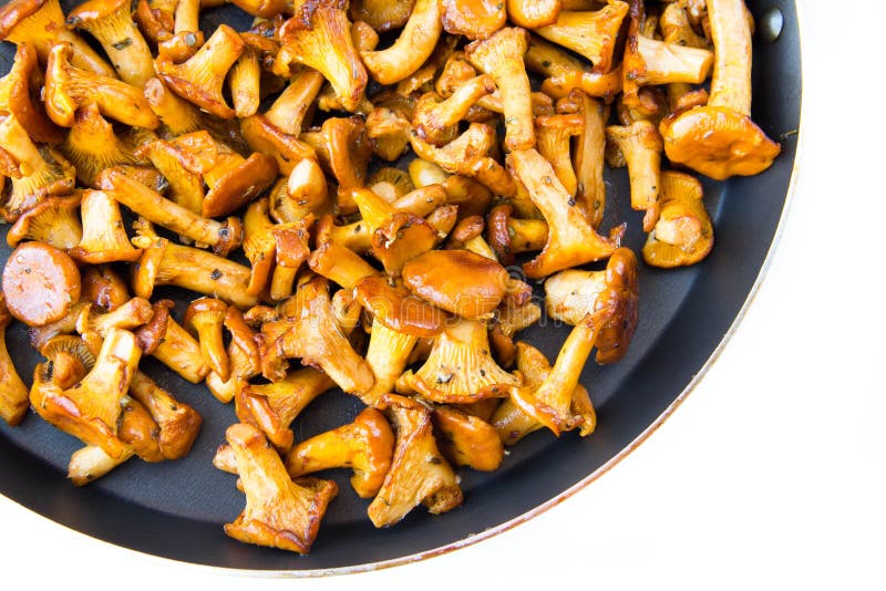 Fresh, Raw Golden Chanterelles on Frying Pan Stock Photo Image of