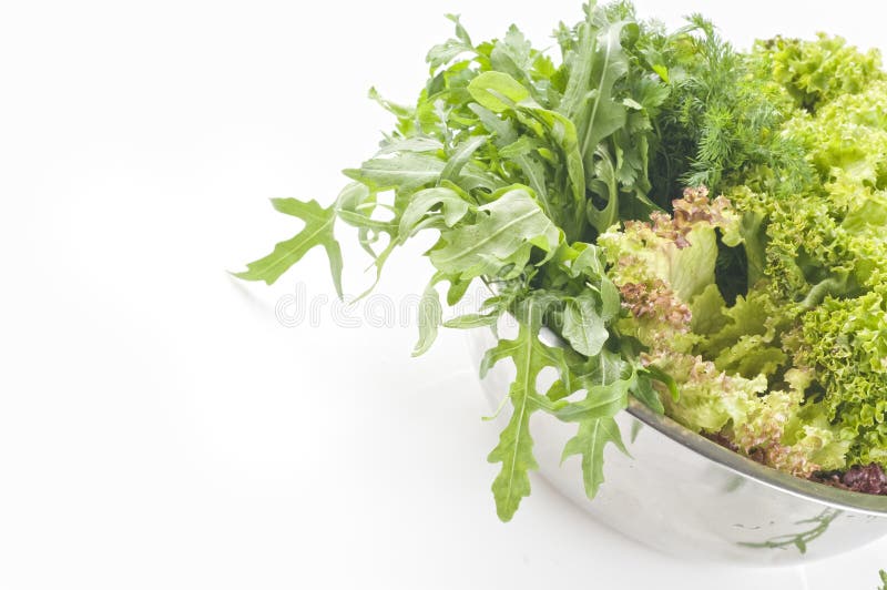 Fresh raw herbs stock photo. Image of gourmet, color 13156148