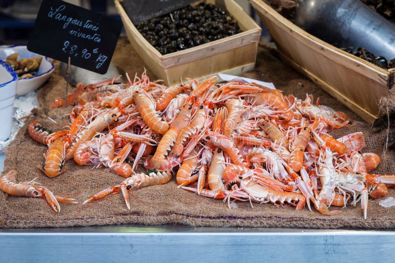 Fresh Raw Langoustine Lobsters