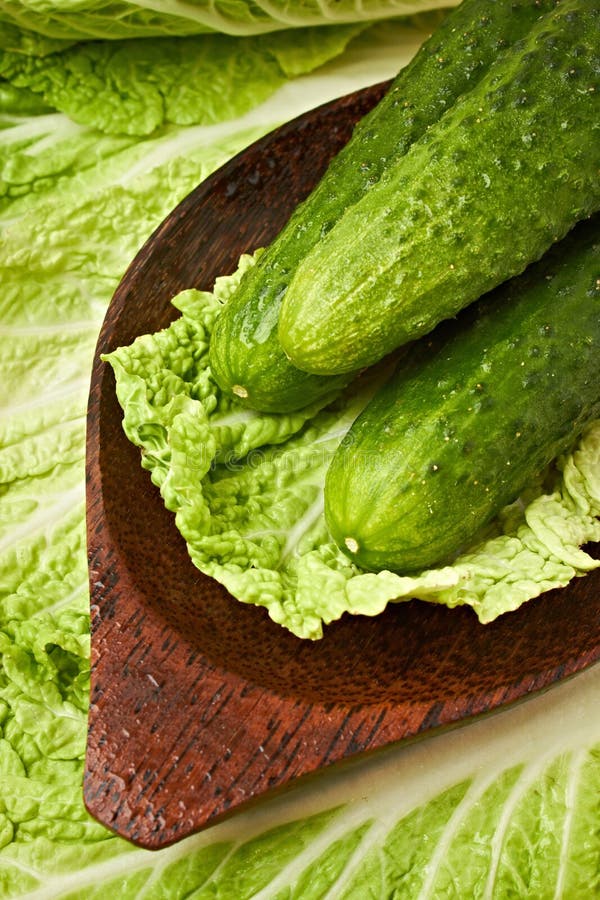 Fresh Raw Lettuce and Herbs Stock Image Image of cucumber, lettuce