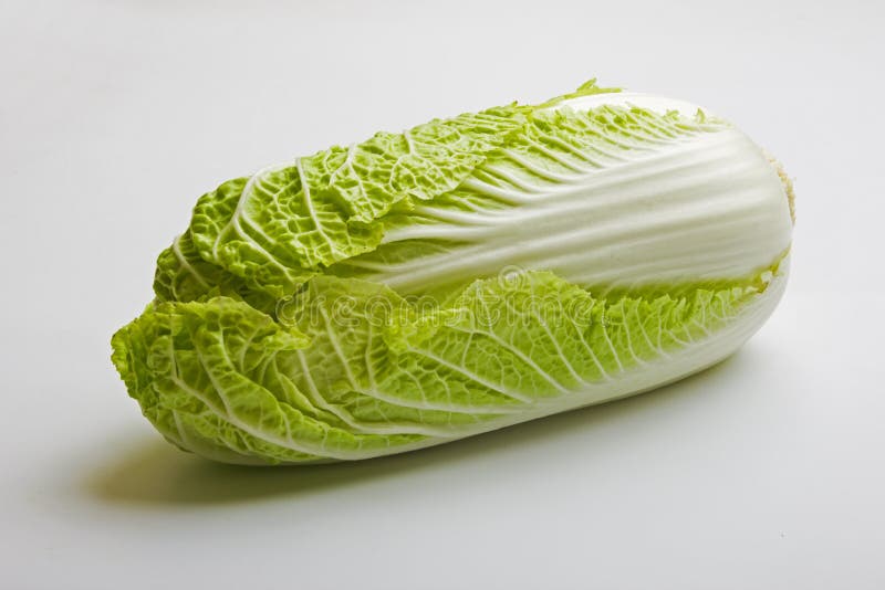 Fresh Raw Lettuce and Herbs Stock Image Image of gourmet, delicious