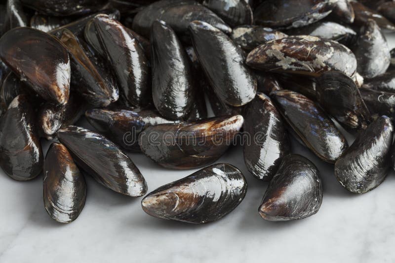 Fresh raw mussels stock images