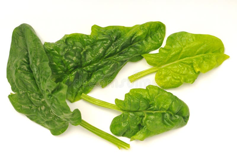 Fresh Raw Organic Spinach Leaves Stock Image - Image of acid, recipe