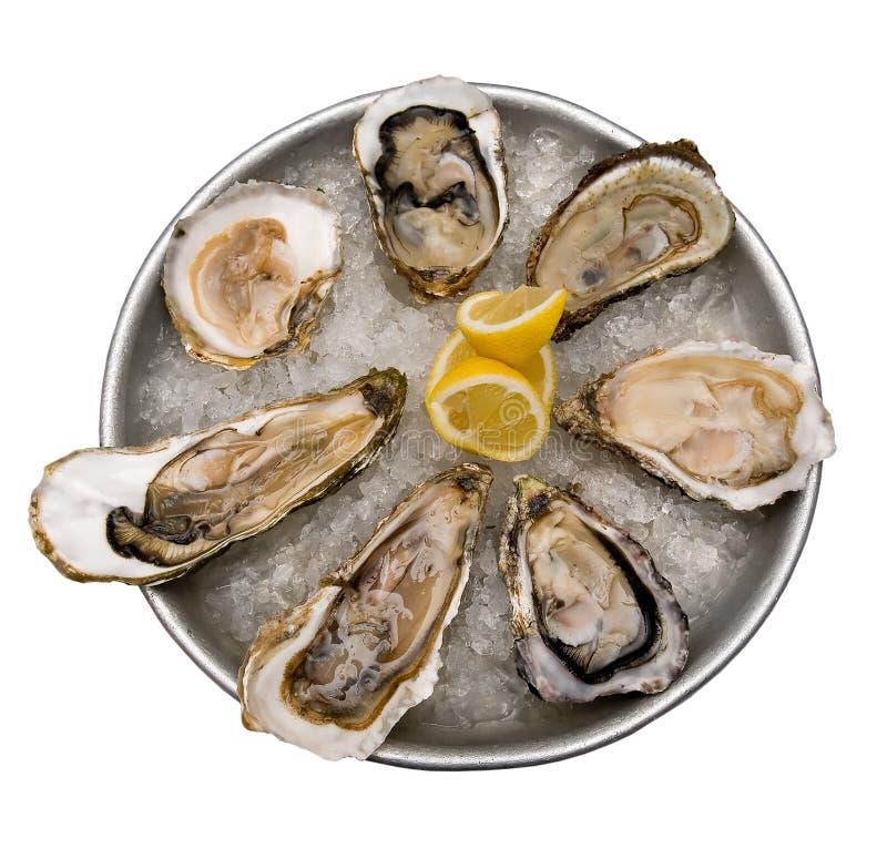 Fresh raw oysters stock image