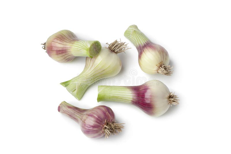 Fresh raw shallots stock image. Image of tasty, eating 25526489