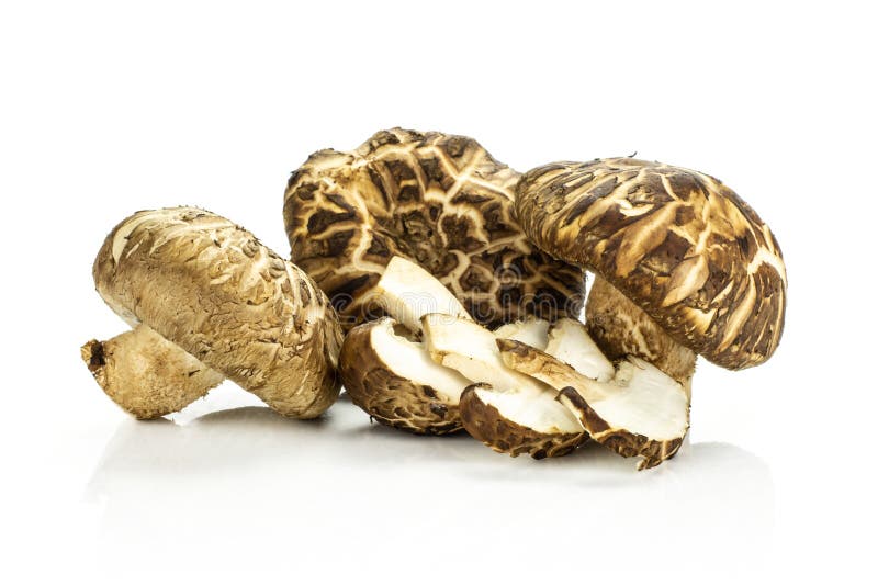Fresh Raw Shiitake Mushroom Isolated on White Stock Image Image of bright, large 121010403