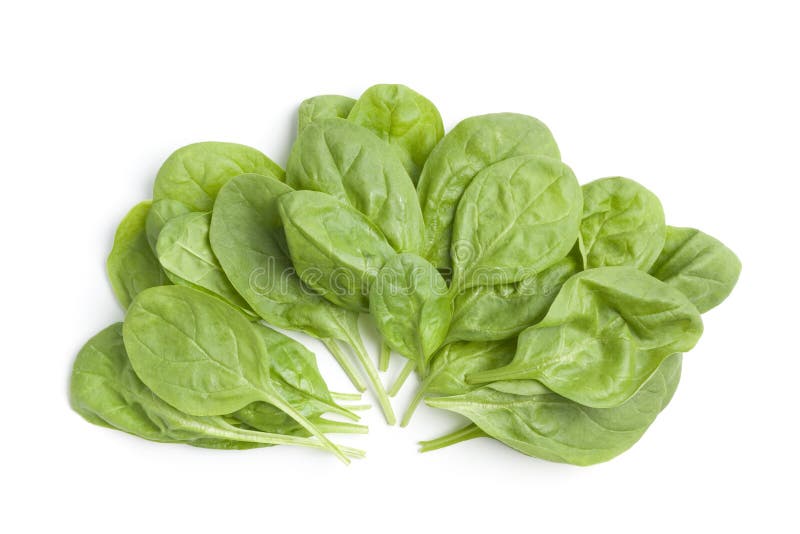 Fresh raw spinach leaves stock photo. Image of fresh - 15735312